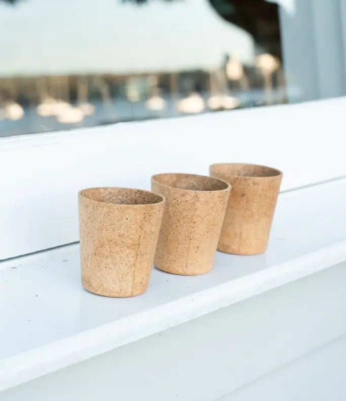 Edible cups in bulk — zero-waste disposable cups for Australian cafés and events