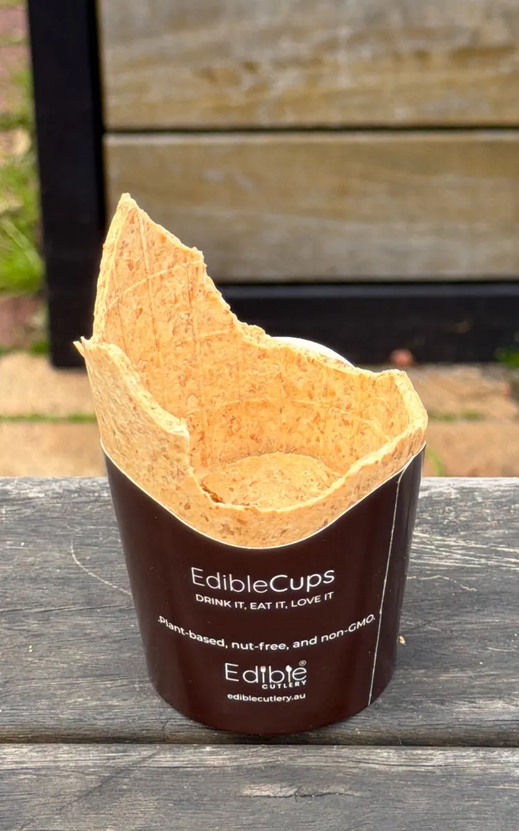 Cup bitten down to the base